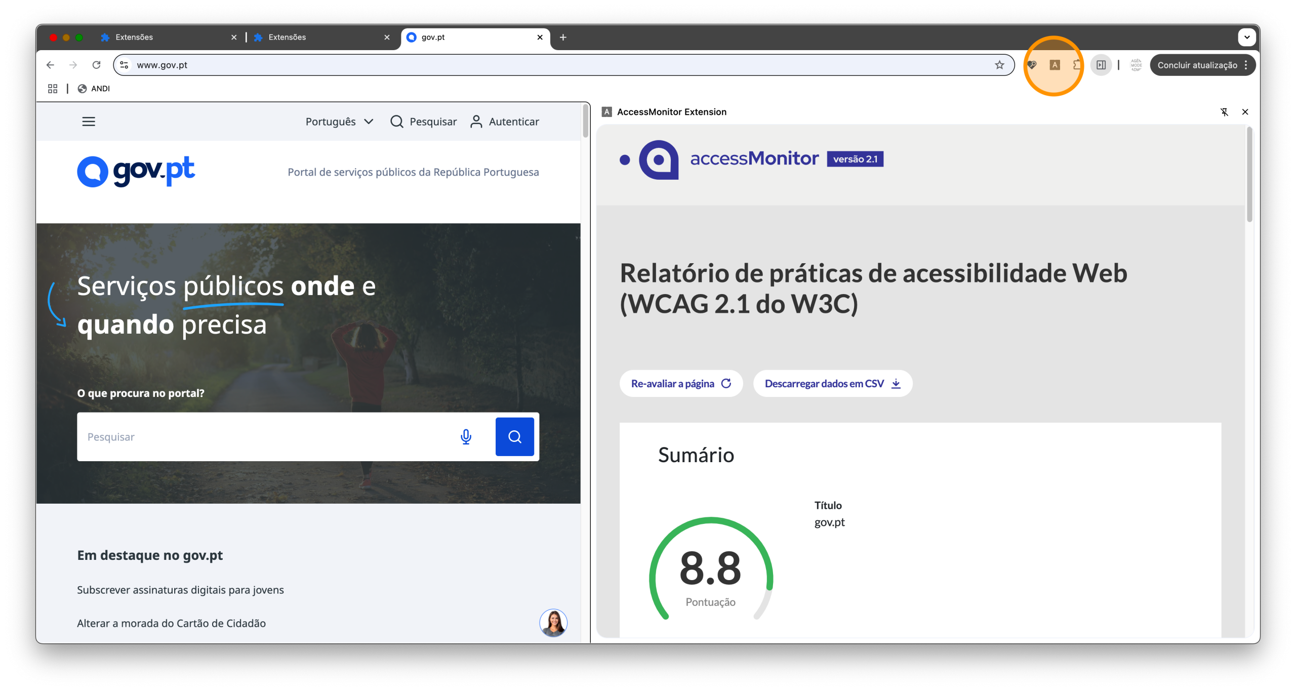 Extensão AccessMonitor